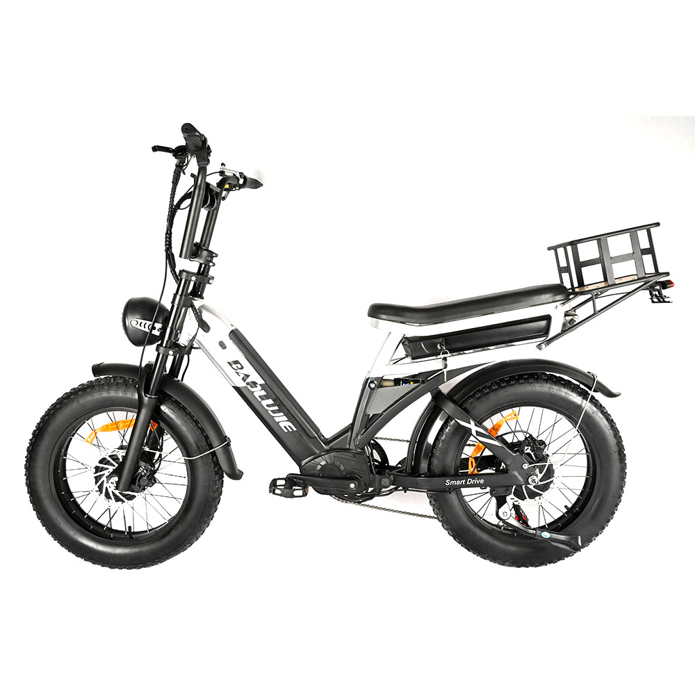 BAOLUJIE Bicicletta Cargo Elettrica a Doppio Motore 2000W
