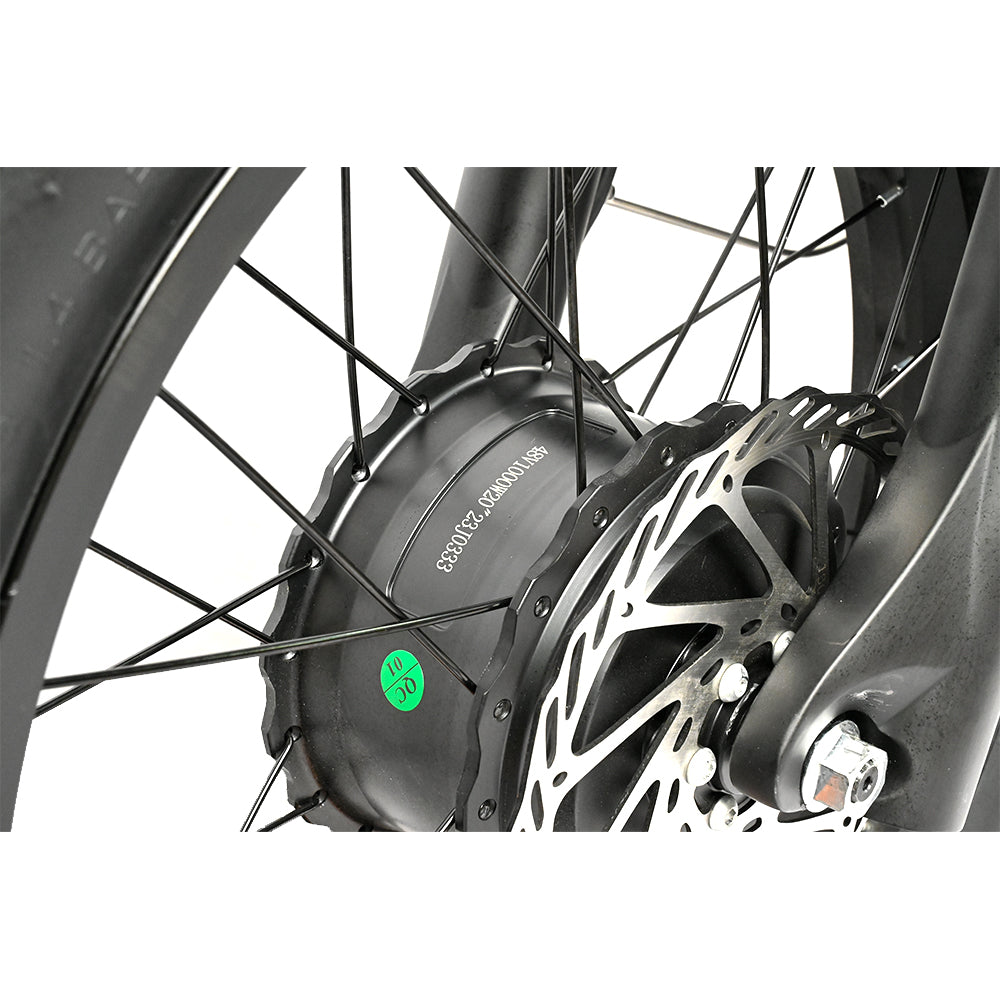 BAOLUJIE Bicicletta Cargo Elettrica a Doppio Motore 2000W