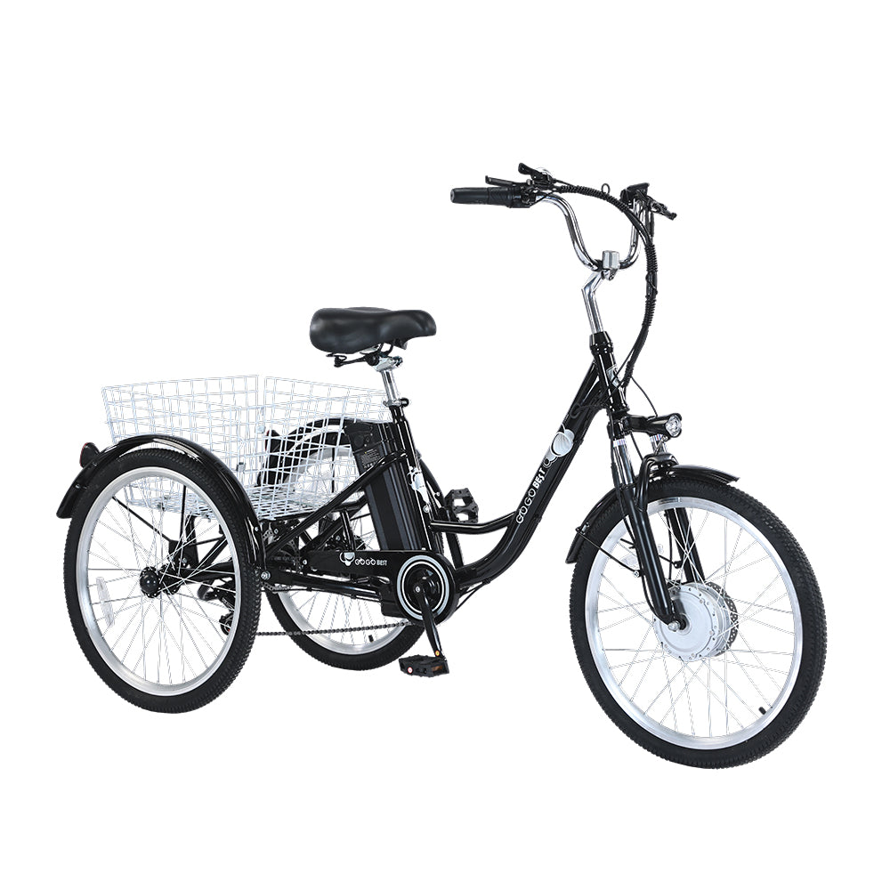 GOGOBEST GF100 Bicicletta Cargo Elettrica Triciclo 350W