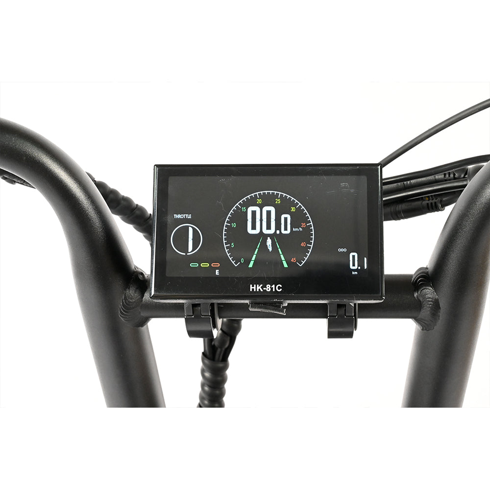 BAOLUJIE Bicicletta Cargo Elettrica a Doppio Motore 2000W