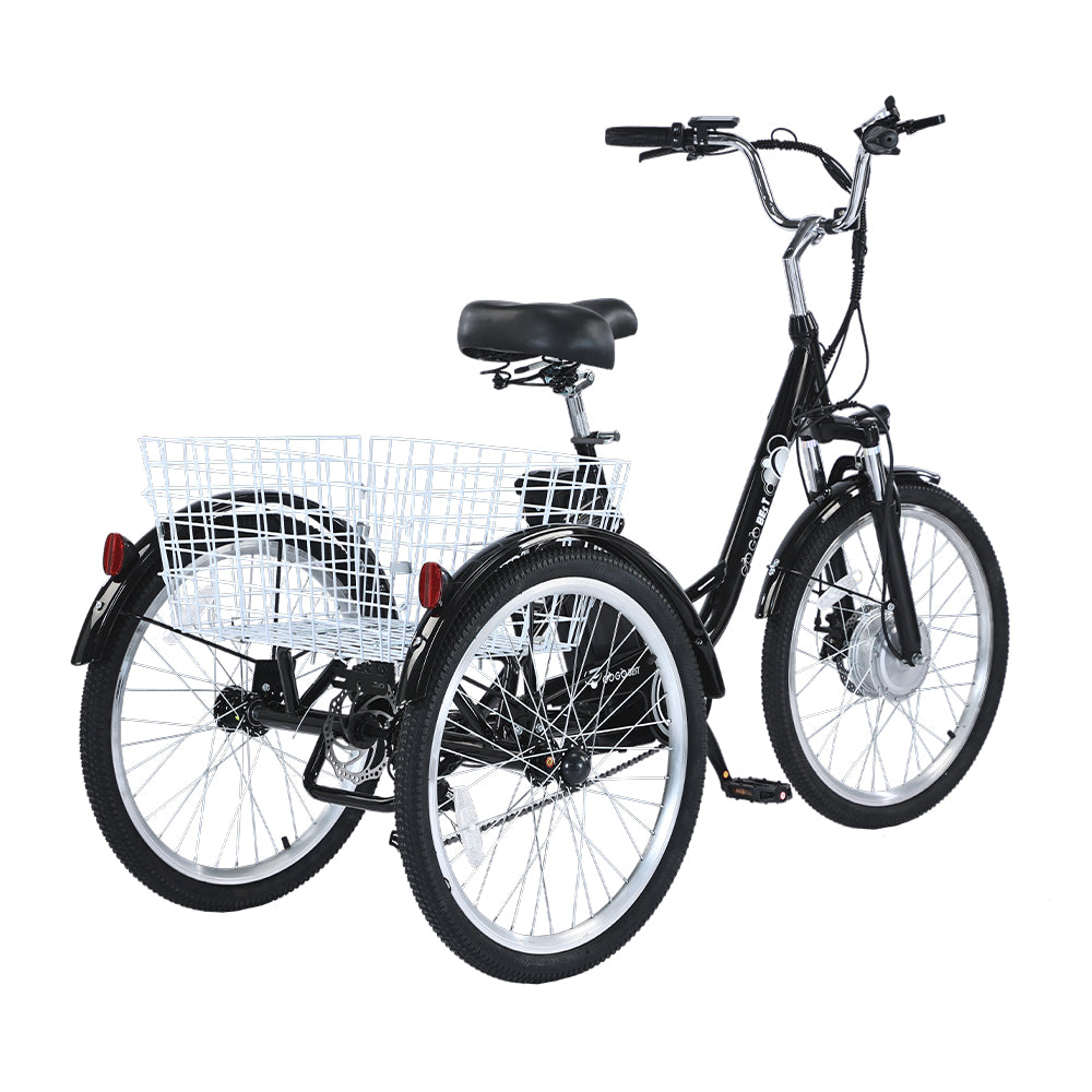 GOGOBEST GF100 Bicicletta Cargo Elettrica Triciclo 350W