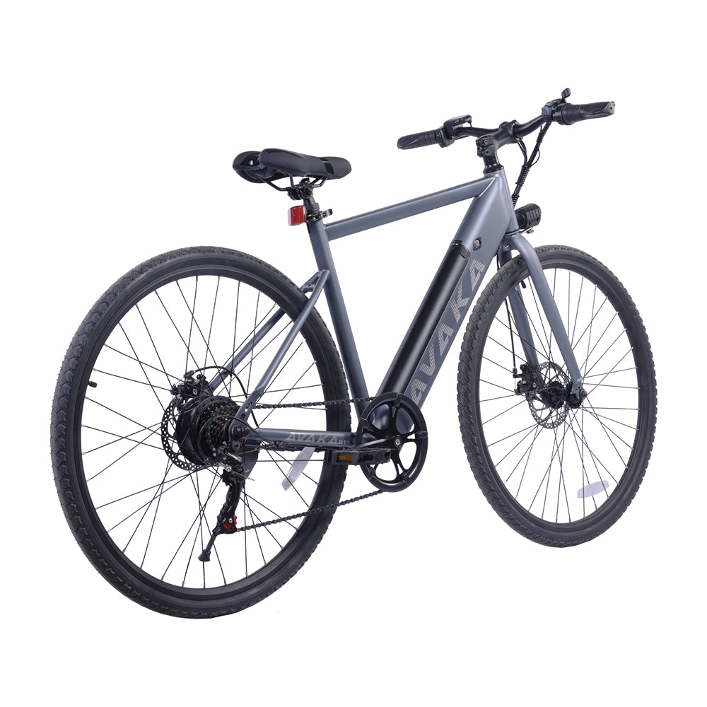 Bicicletta elettrica da città AVAKA R1 250W