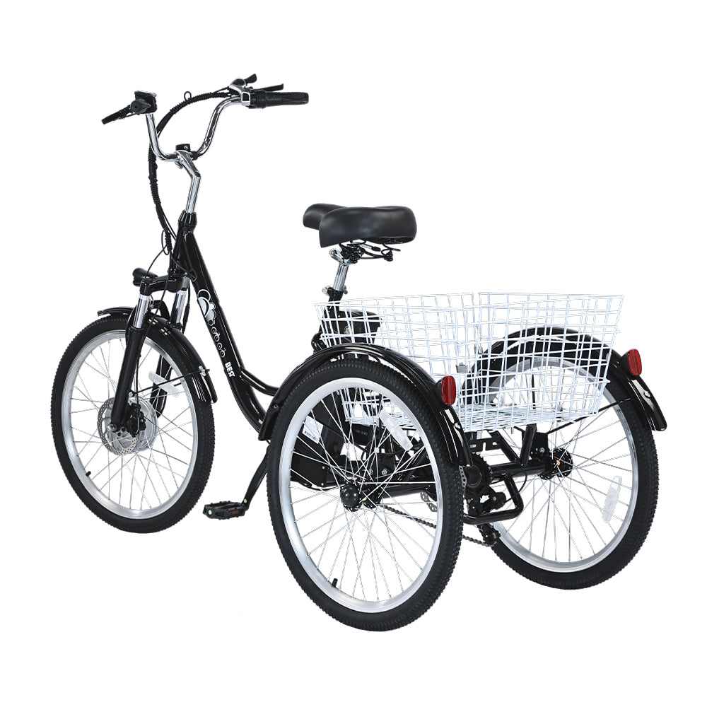 GOGOBEST GF100 Bicicletta Cargo Elettrica Triciclo 350W