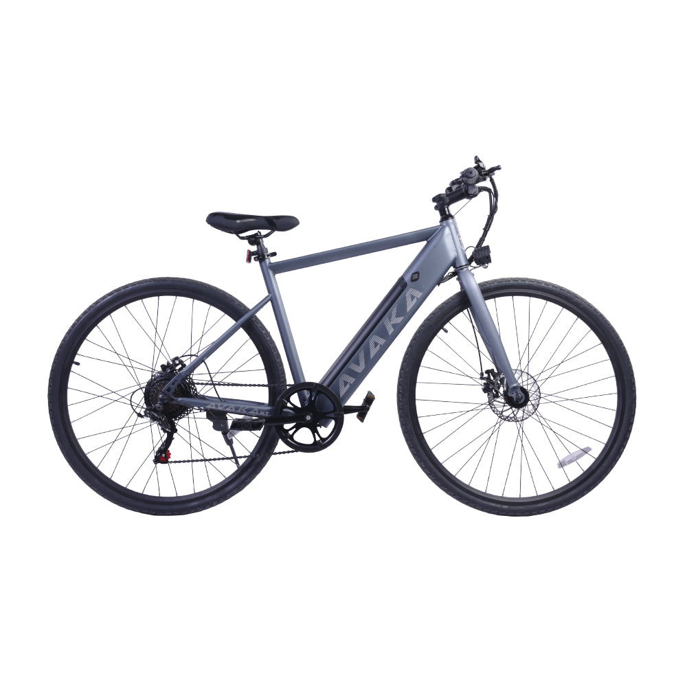 Bicicletta elettrica da città AVAKA R1 250W