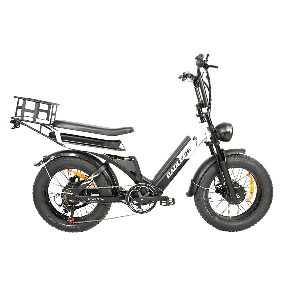 BAOLUJIE Bicicletta Cargo Elettrica a Doppio Motore 2000W