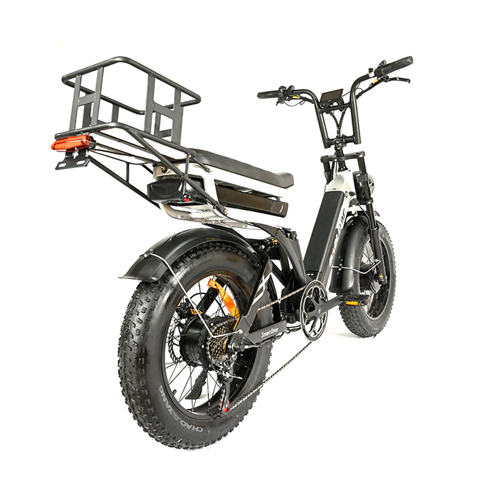 BAOLUJIE Bicicletta Cargo Elettrica a Doppio Motore 2000W