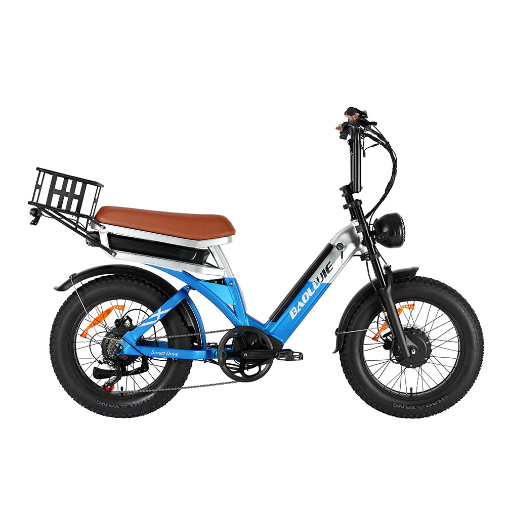 BAOLUJIE Bicicletta Cargo Elettrica a Doppio Motore 2000W