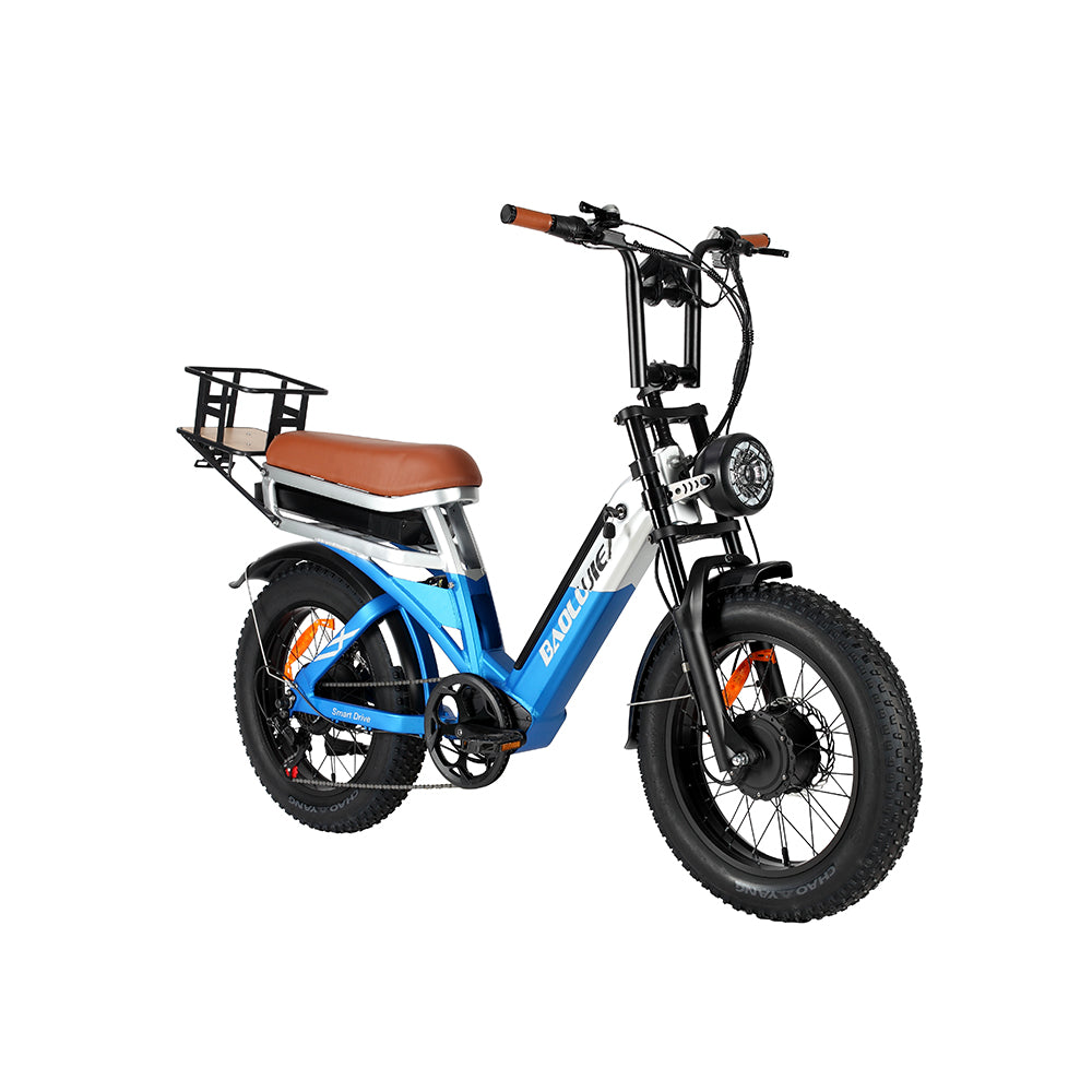 BAOLUJIE Bicicletta Cargo Elettrica a Doppio Motore 2000W