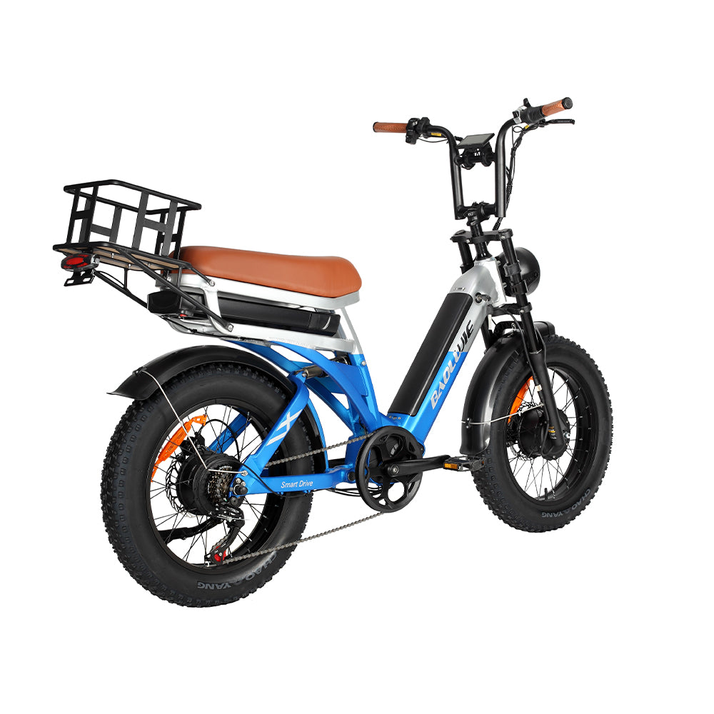 BAOLUJIE Bicicletta Cargo Elettrica a Doppio Motore 2000W