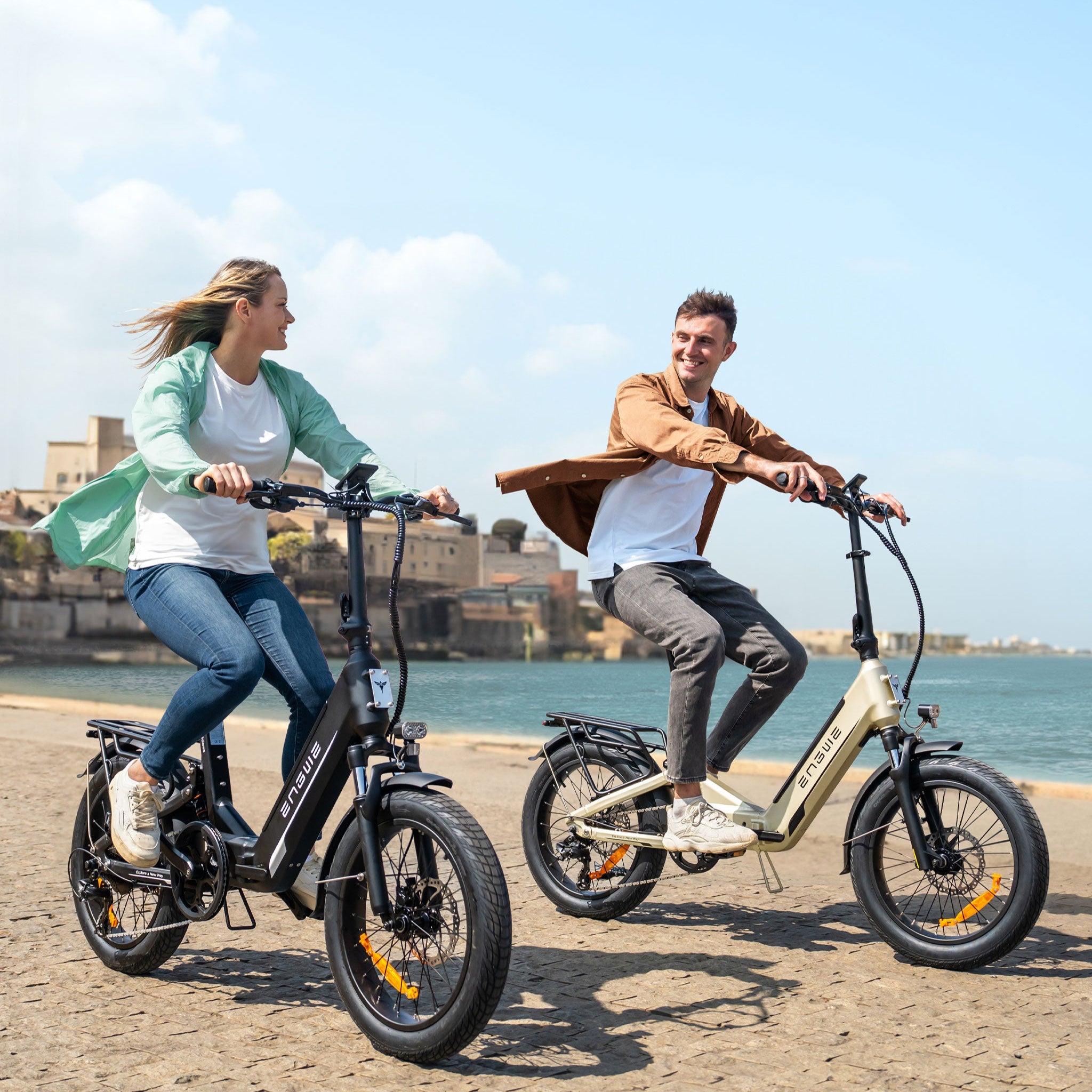 Bicicletta Elettrica Pieghevole ENGWE L20 3.0 20*3.0' 250W