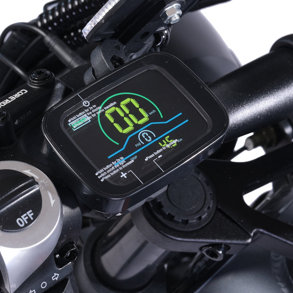 BEZIOR XF006 Bicicletta Elettrica da Montagna 1200W