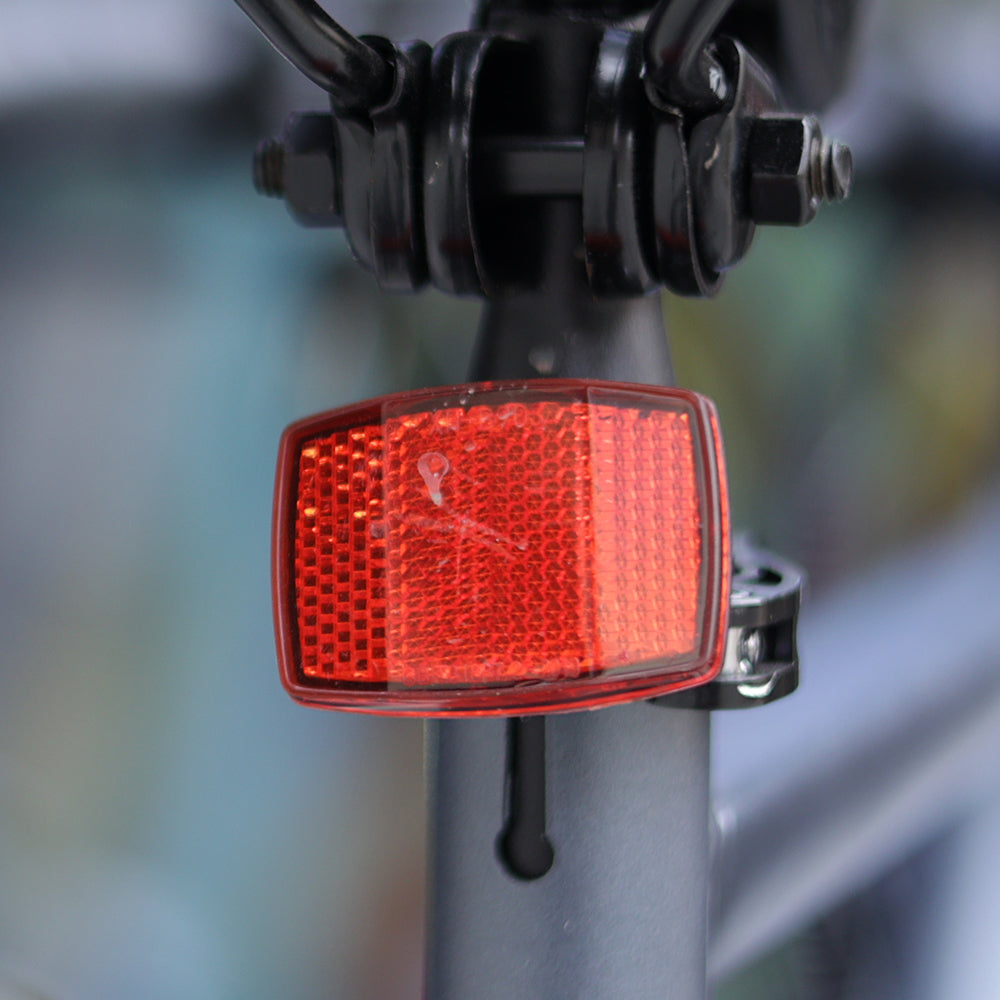 Bicicletta elettrica da città AVAKA R1 250W