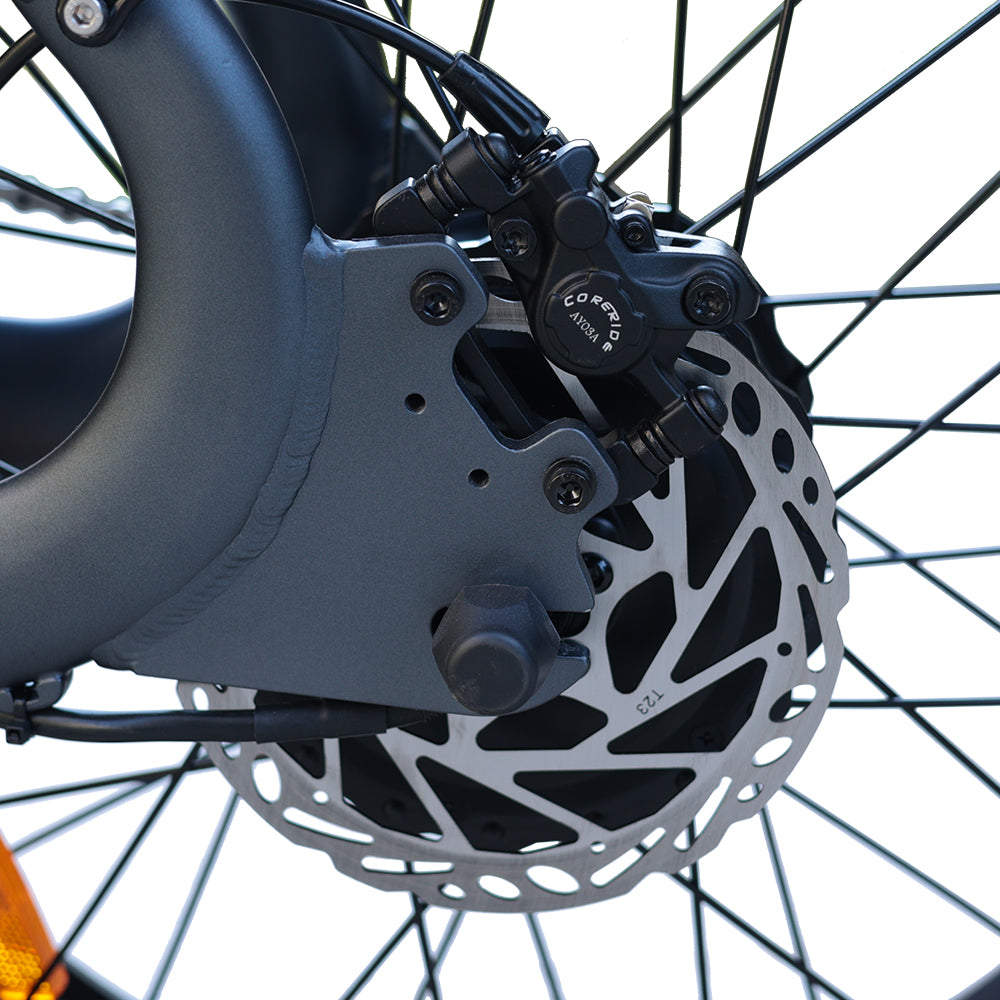 BEZIOR XF006 Bicicletta Elettrica da Montagna 1200W