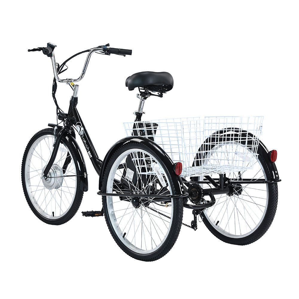 GOGOBEST GF100 Bicicletta Cargo Elettrica Triciclo 350W