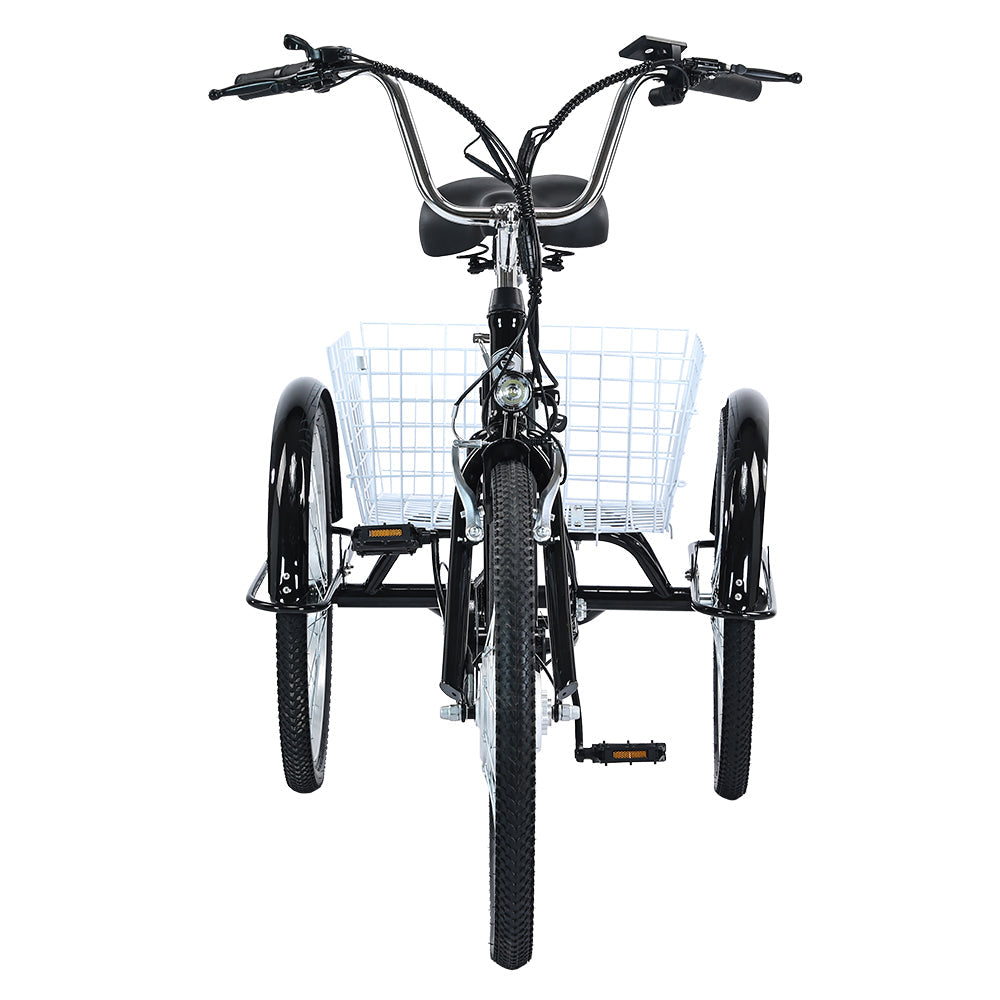 GOGOBEST GF100 Bicicletta Cargo Elettrica Triciclo 350W