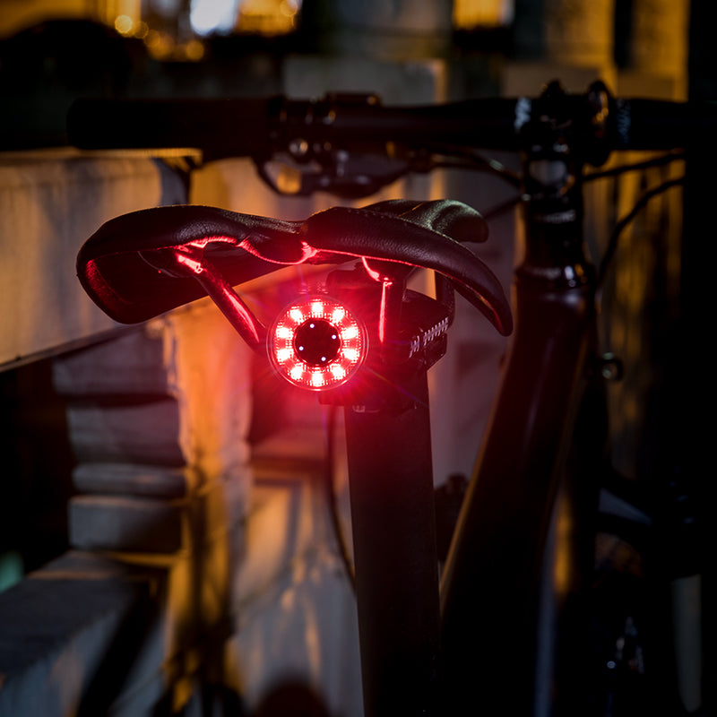 Colorful Bicycle Tail Light